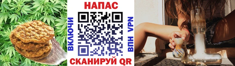 Cannafood конопля  Белгород 
