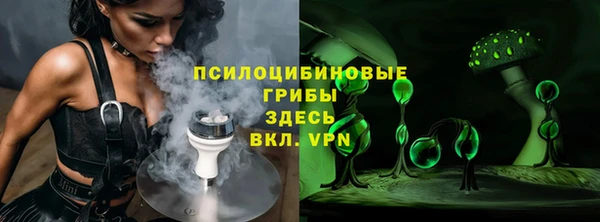 шишки Семёнов