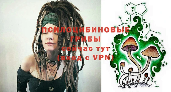 ГАЛЛЮЦИНОГЕННЫЕ ГРИБЫ Алексин