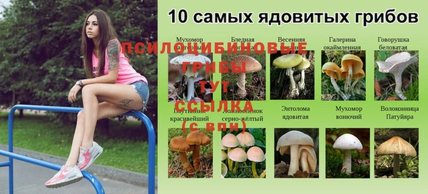 ПСИЛОЦИБИНОВЫЕ ГРИБЫ Алексеевка