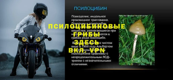 ПСИЛОЦИБИНОВЫЕ ГРИБЫ Алексеевка