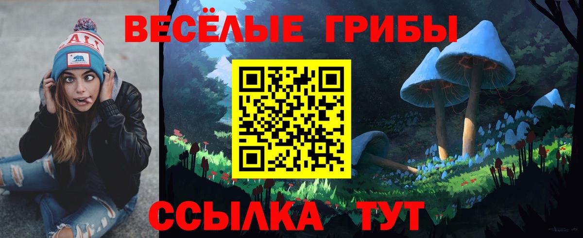 Псилоцибиновые грибы GOLDEN TEACHER Белгород