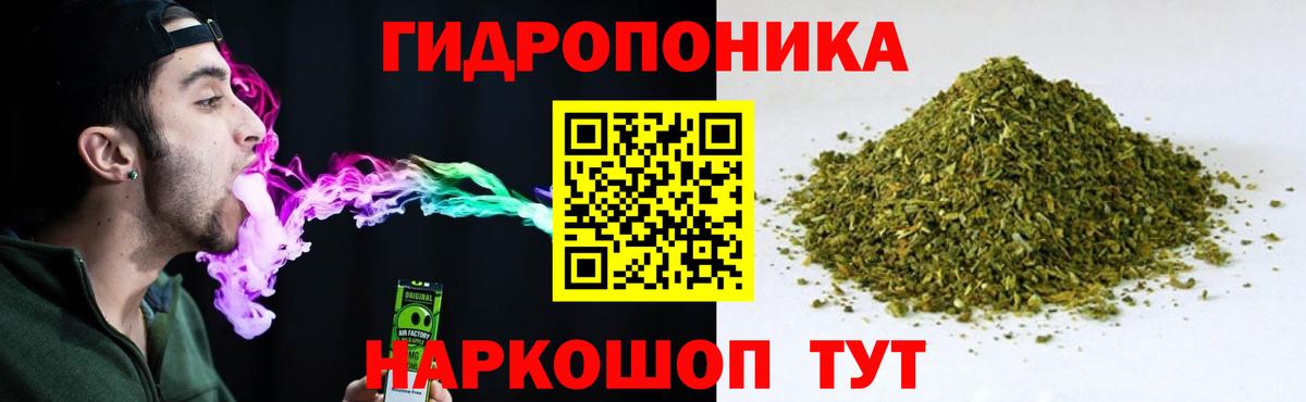 Марихуана Bruce Banner  Каннабис план  Бошки Шишки SATIVA & INDICA  Вход с VPN  Белгород 
